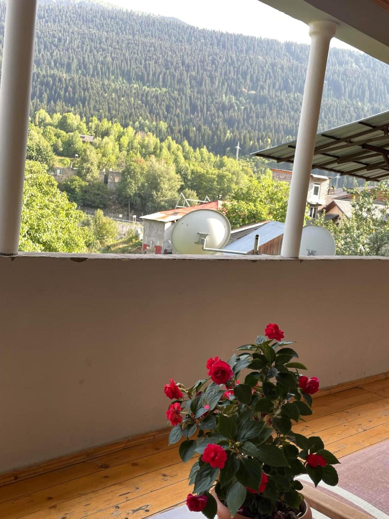 Guest House Nene Μέστια Εξωτερικό φωτογραφία